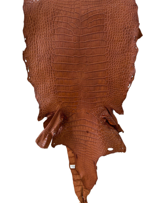 39 cm Grade 4/5 Cognac Matte Wild American Alligator Leather - Tag: LA23-0023833