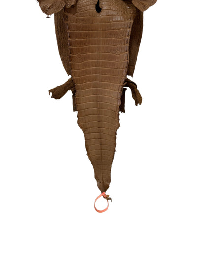 24 cm Grade 1/2 Cammello Matte Farm-Raised American Alligator Leather - Tag: LA24-0228904