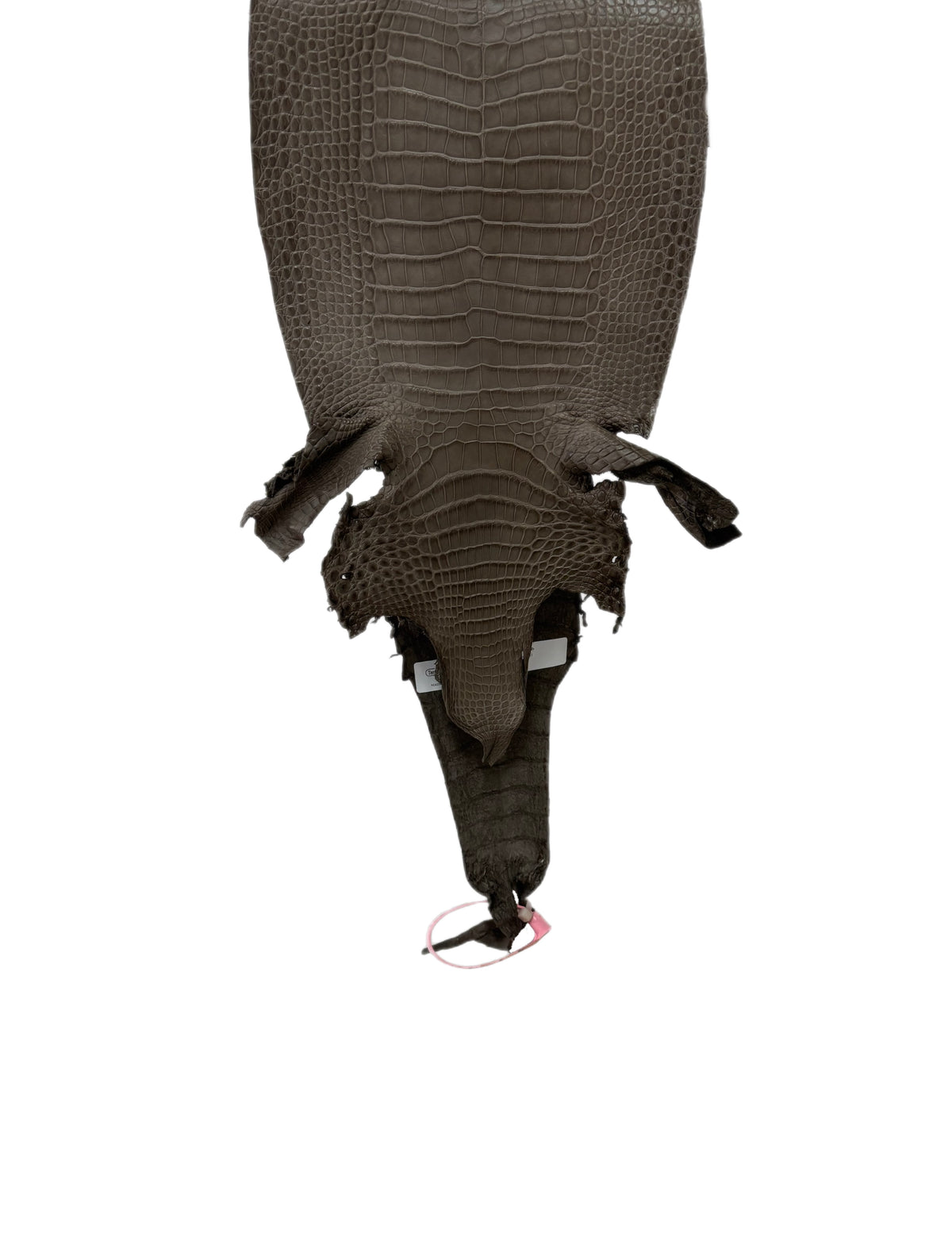 22 cm Grade 1/2 Etain Matte Farm-Raised American Alligator Leather - Tag: LA24-0228932