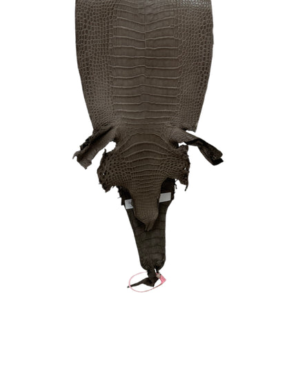 22 cm Grade 1/2 Etain Matte Farm-Raised American Alligator Leather - Tag: LA24-0228932