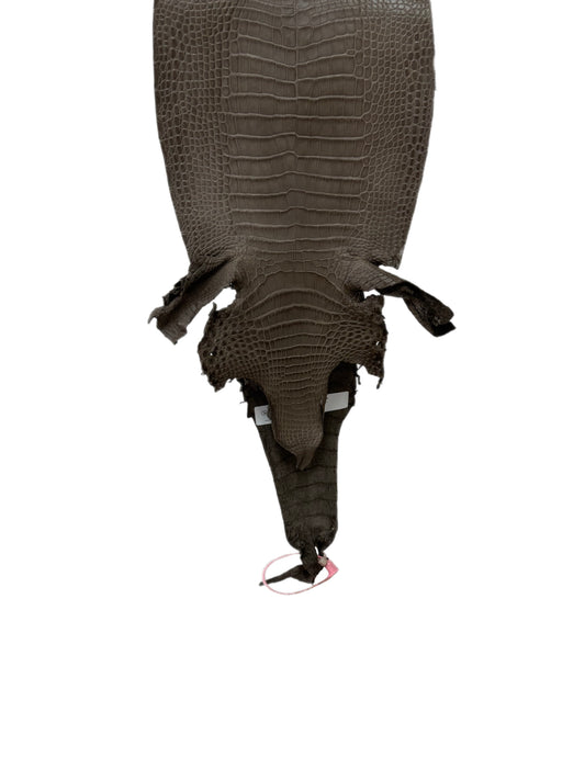 22 cm Grade 1/2 Etain Matte Farm-Raised American Alligator Leather - Tag: LA24-0228932