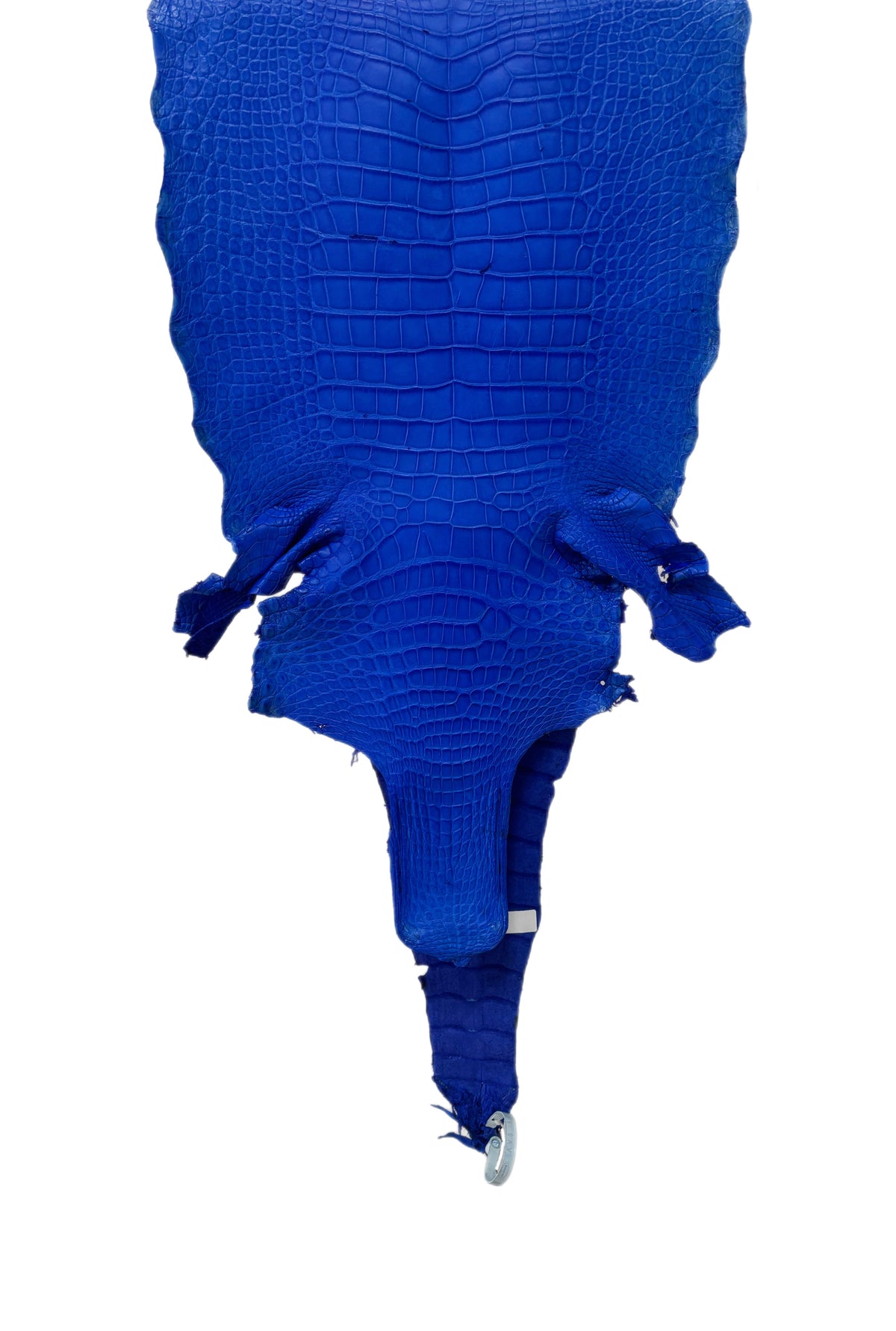 36 cm Grade 4/5 Royal Blue Matte Wild American Alligator Leather - Tag: LA17-0053555