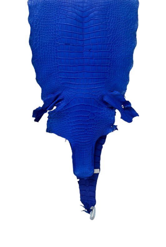 36 cm Grade 4/5 Royal Blue Matte Wild American Alligator Leather - Tag: LA17-0053555