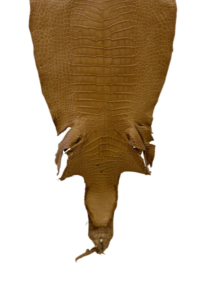 37 cm Grade 2/3 Antique Saddle Matte Wild American Alligator Leather - Tag: LA23-0003112
