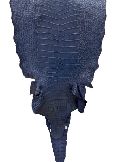 38 cm Grade 1/2 Navy Blue Desert Wild American Alligator Leather - Tag: LA18-0030650