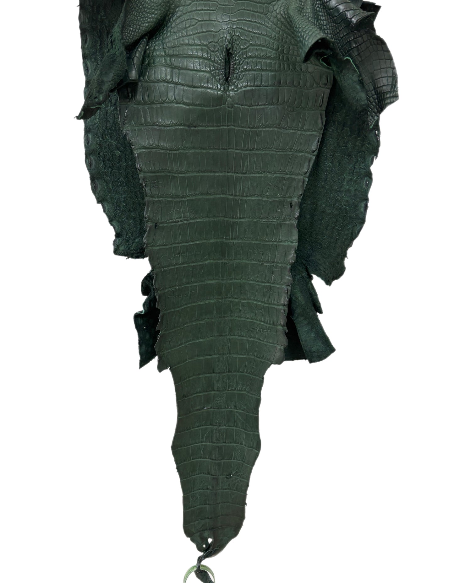 35 cm Grade 2/3 Forest Green Matte Wild American Alligator Leather - Tag: LA23-0050738