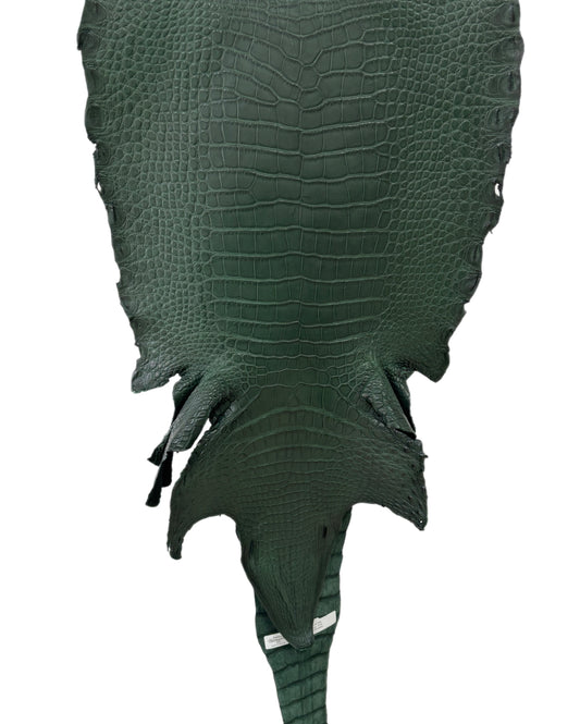 37 cm Grade 2/3 Forest Green Matte Wild American Alligator Leather - Tag: LA23-0051964