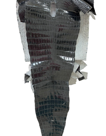 41 cm Grade 1/2 Grey Glazed Farm-Raised American Alligator Leather - Tag: GA14-0021316