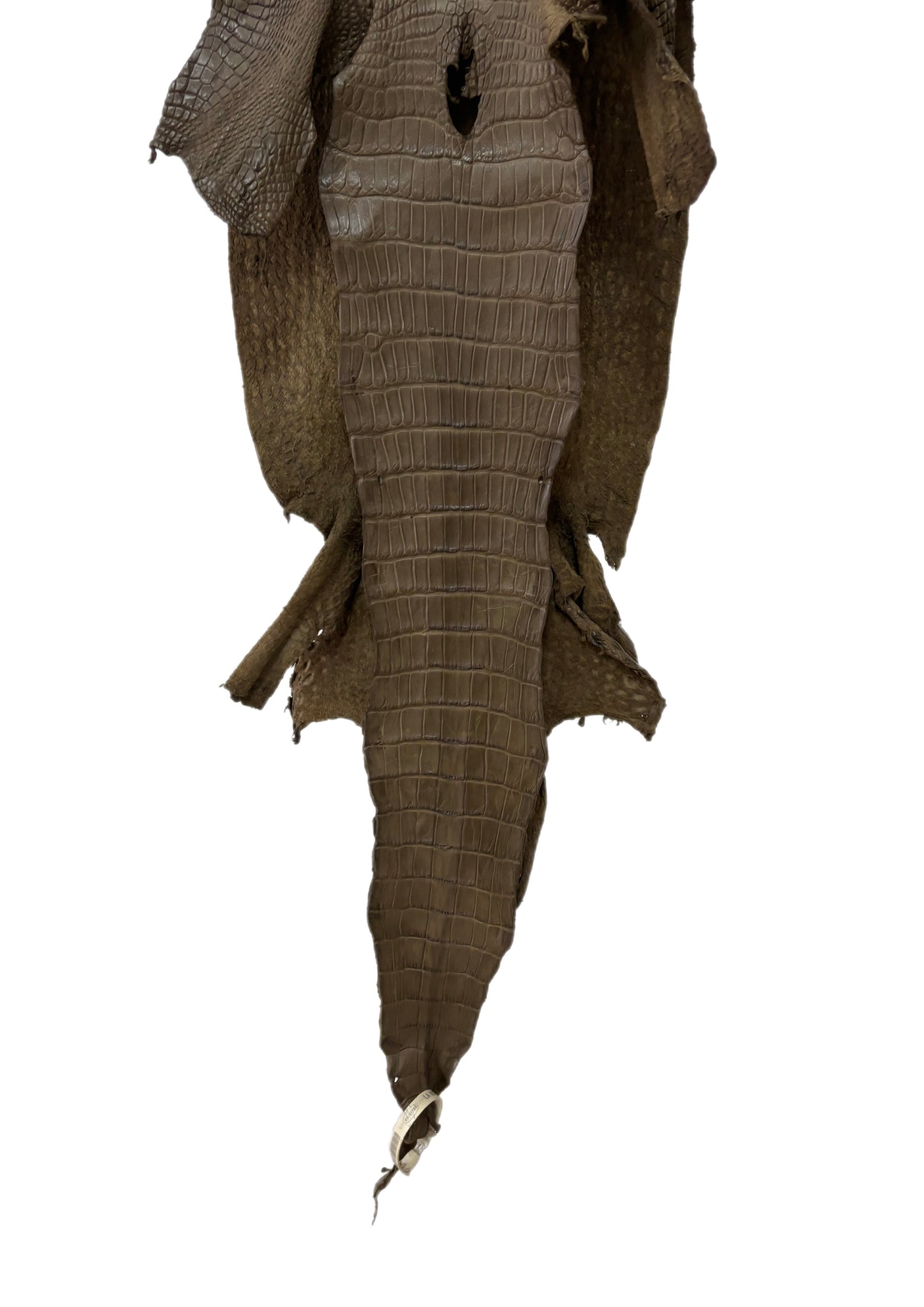 29 cm Grade 2/3 Mink Matte Wild American Alligator Leather - Tag: LA23-0019946
