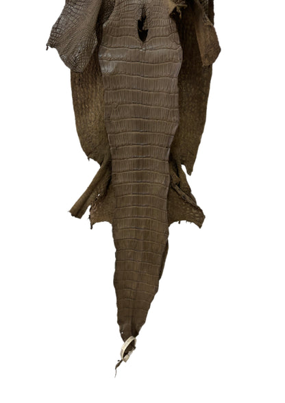 29 cm Grade 2/3 Mink Matte Wild American Alligator Leather - Tag: LA23-0019946