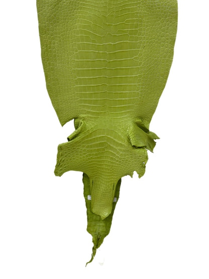 37 cm Grade 3/4 Chartreuse Matte Wild American Alligator Leather - Tag: LA23-0050605