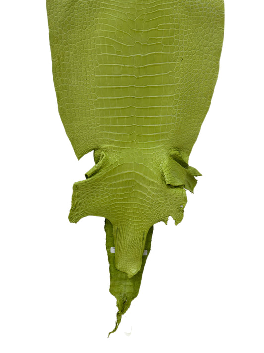 37 cm Grade 3/4 Chartreuse Matte Wild American Alligator Leather - Tag: LA23-0050605