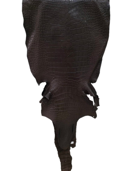 47 cm Grade 3/4 Kralle Brown Matte Wild American Alligator Leather - Tag: LA23-0050726