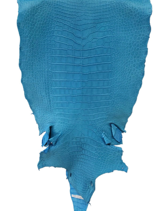 55 cm Grade 2/3 Ultramarine Matte Wild American Alligator Leather - Tag: LA23-0003516