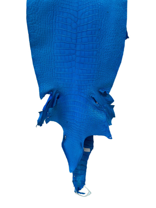 34 cm Grade 2/3 Ultramarine Matte Wild American Alligator Leather - Tag: LA23-0033996