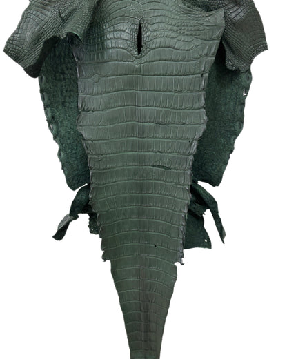 37 cm Grade 2/3 Forest Green Matte Wild American Alligator Leather - Tag: LA23-0050113