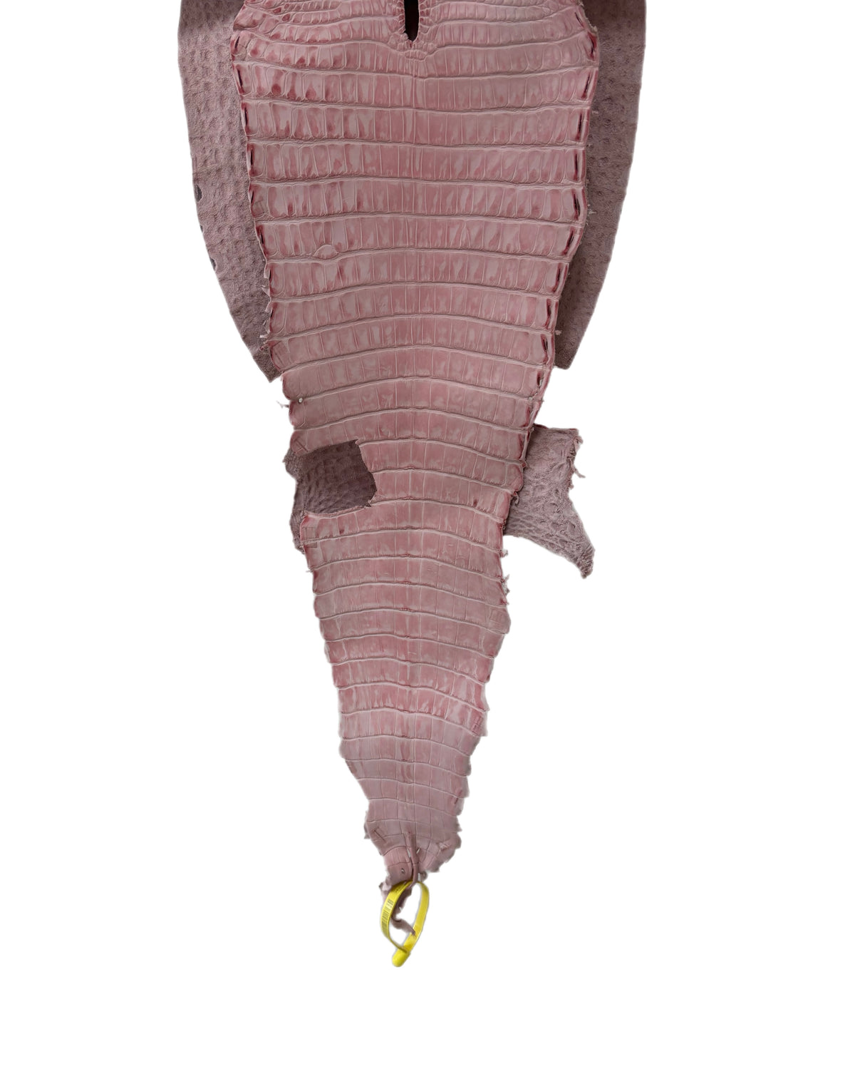 New Color and Finish! 30 cm Grade 1 Light Pink Nubuck Farm-Raised American Alligator Leather - Tag: FL22-0030076