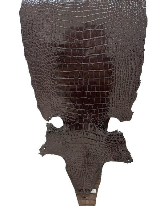 42 cm Grade 4/5 Chocolate Millennium Wild American Alligator Leather - Tag: LA22-0003620