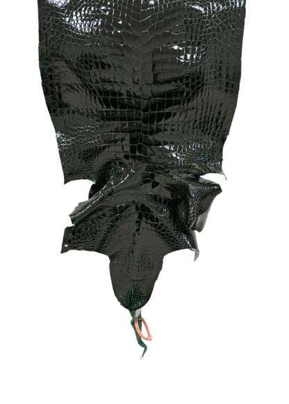 39 cm Grade 1/2 Forest Green Glazed Wild American Alligator Leather - Tag: LA24-0041853