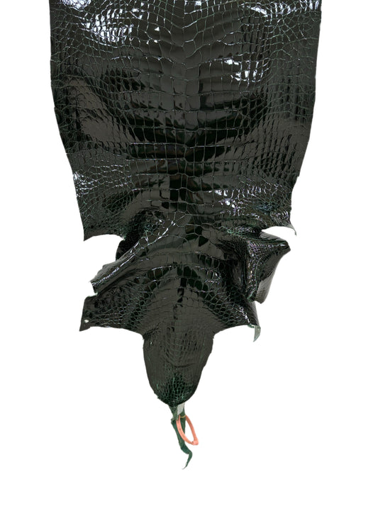 39 cm Grade 1/2 Forest Green Glazed Wild American Alligator Leather - Tag: LA24-0041853