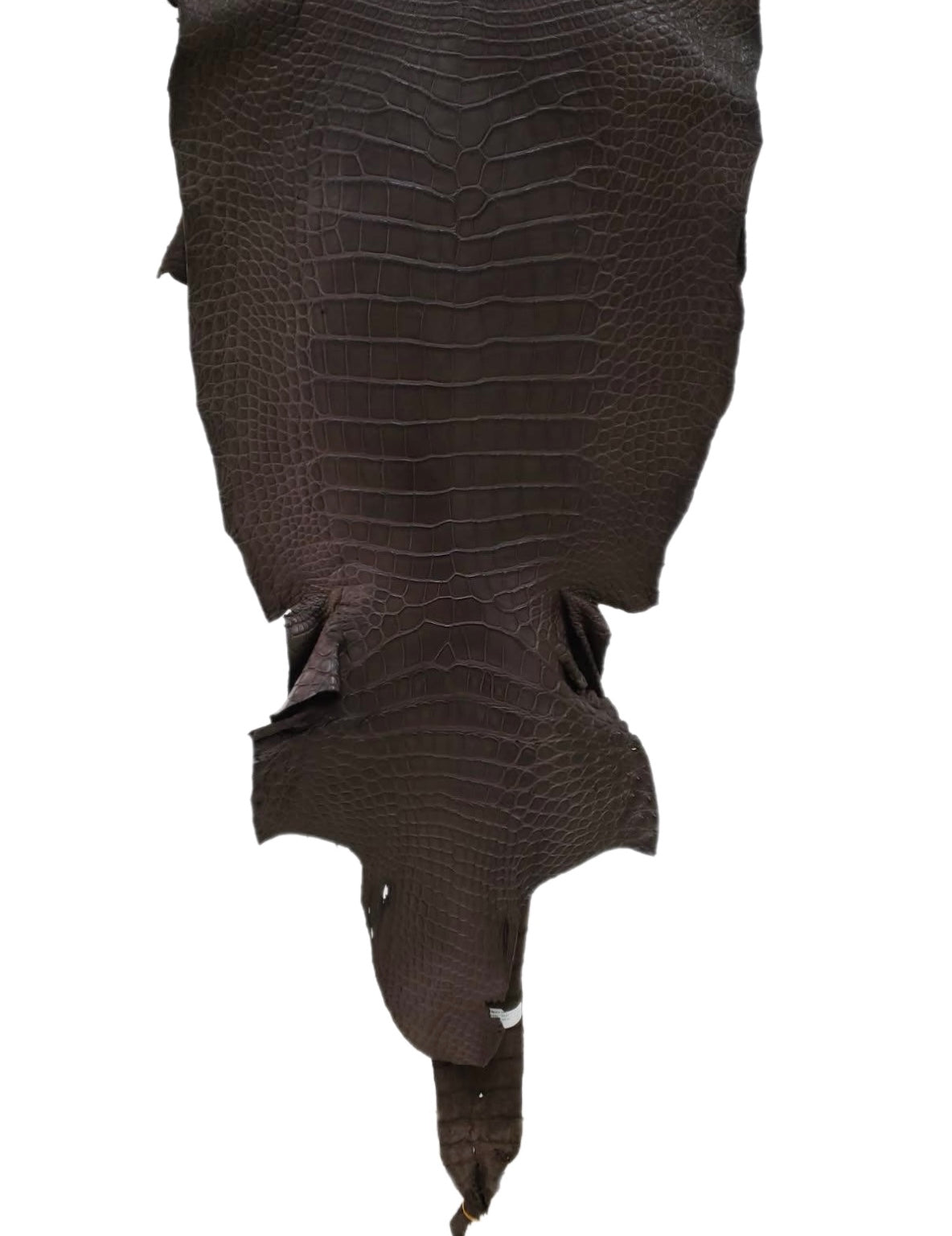 43 cm Grade 3/4 Kralle Brown Matte Wild American Alligator Leather - Tag: LA16-0032979
