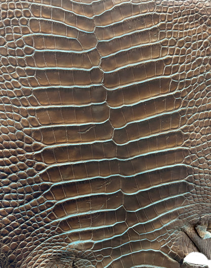 25-30 cm Grade 2/3 Pacifica Matte American Alligator Leather | Closeout Deal