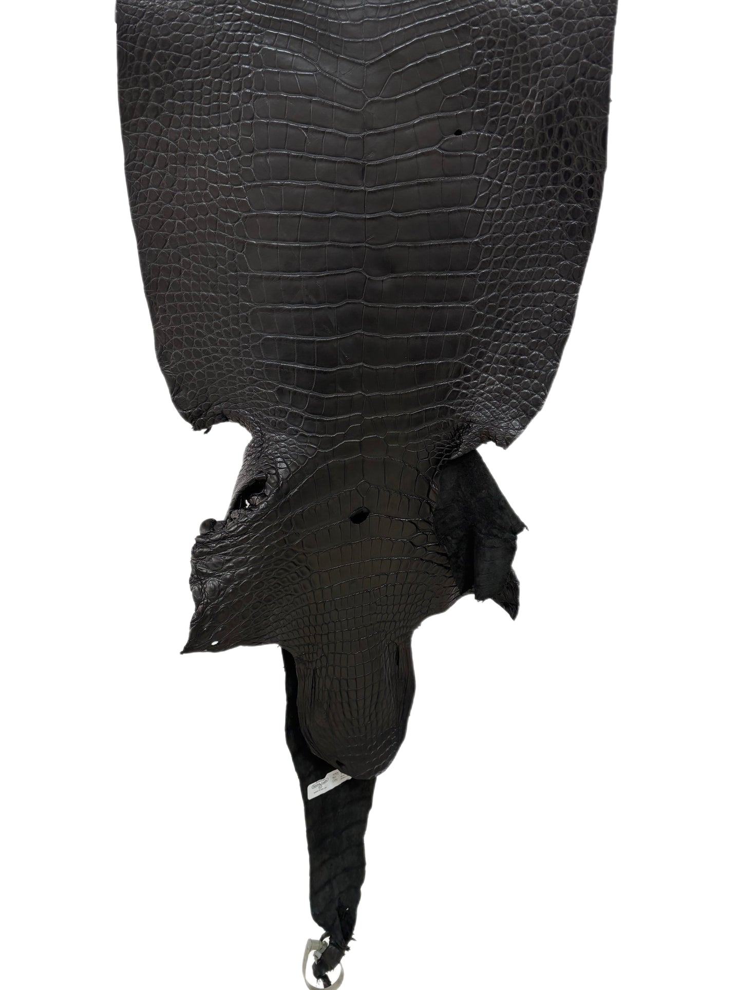 43 cm Grade 3/4 Black Matte Wild American Alligator Leather - Tag: LA23-0010667