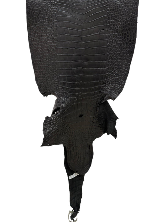 43 cm Grade 3/4 Black Matte Wild American Alligator Leather - Tag: LA23-0010667