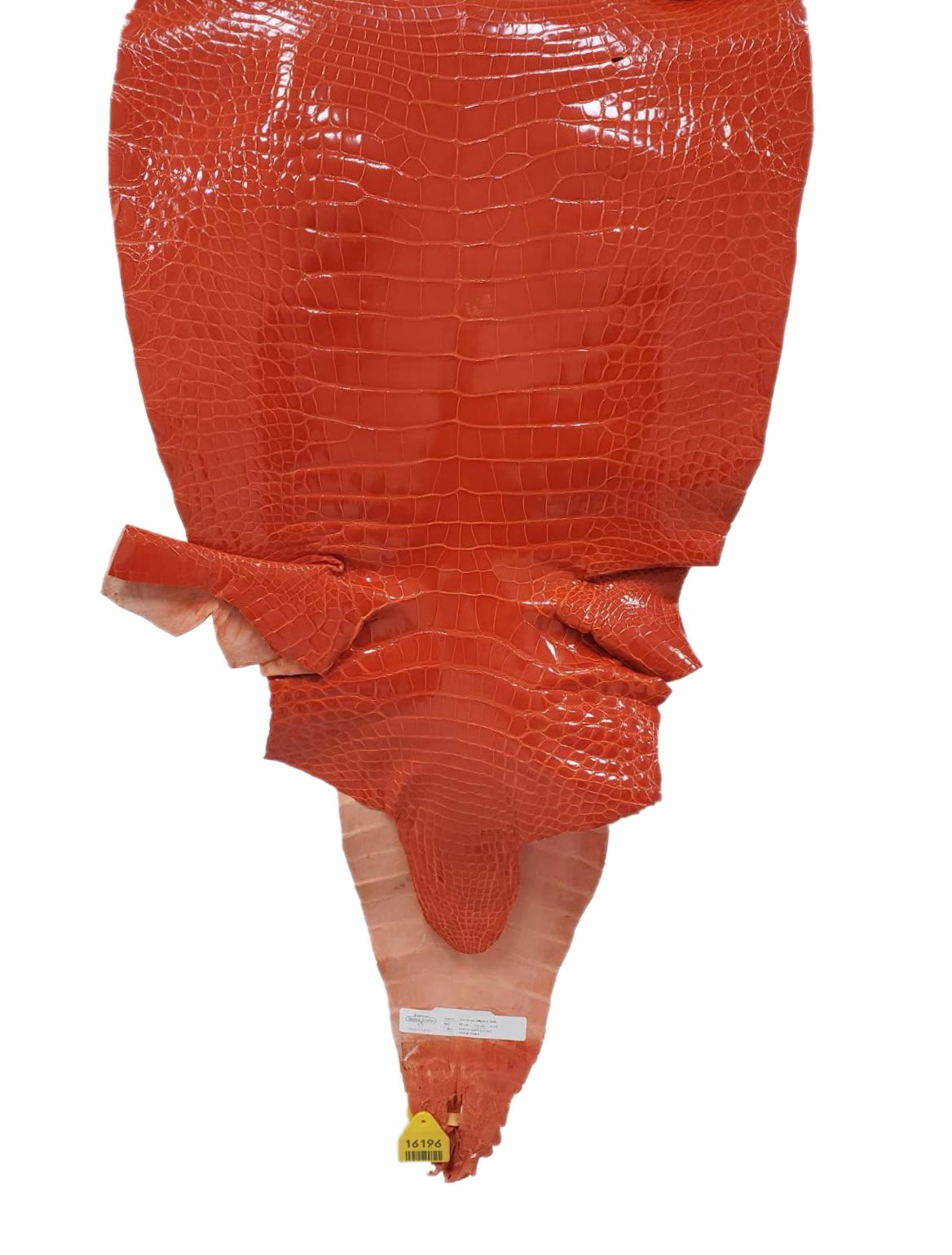 39 cm Grade 2/3 Mandarina Glazed Farm-Raised American Alligator Leather - Tag: GA13-0020287