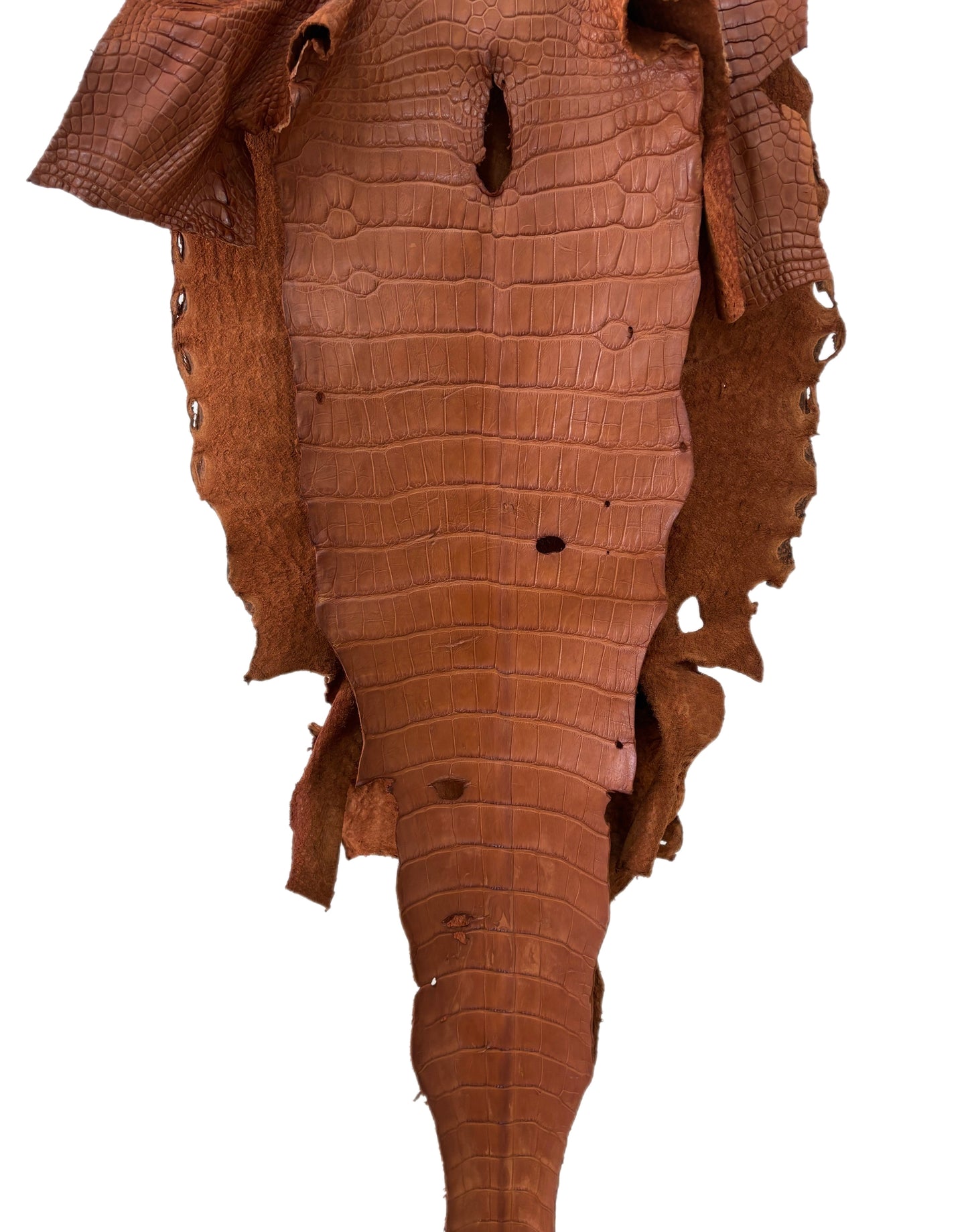 41 cm Grade 4/5 Cognac Matte Wild American Alligator Leather - Tag: LA23-0010986