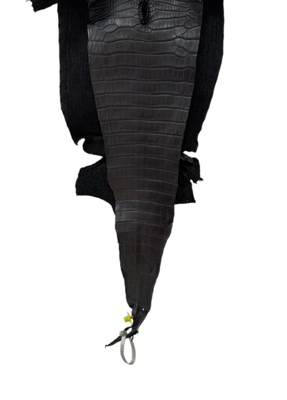 27 cm Grade 1/2 Black Matte Farm-Raised American Alligator Leather - Tag: FL15-0057353