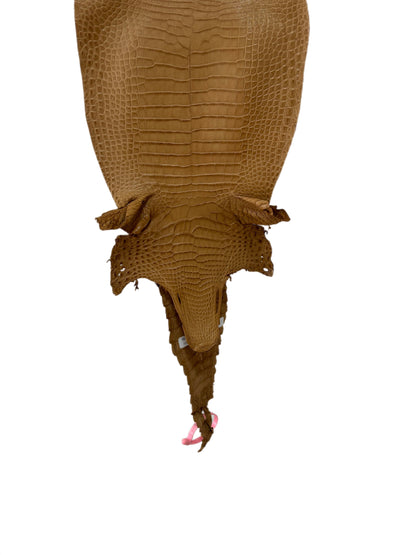 28 cm Grade 1/2 Antique Saddle Matte Farm-Raised American Alligator Leather - Tag: FL21-0024617