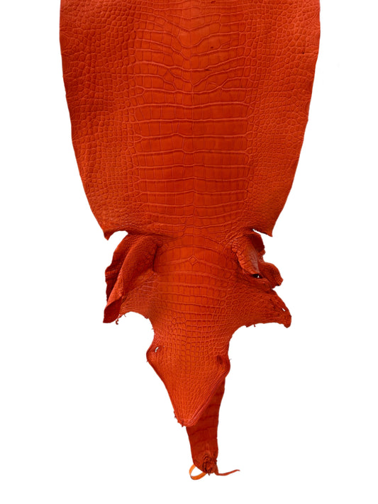 40 cm Grade 3/4 Orange Matte Wild American Alligator Leather - Tag: LA23-0006454