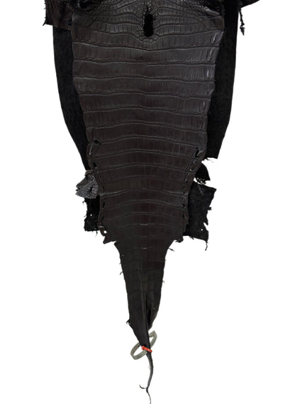 29 cm Grade 2/3 Black Matte Farm-Raised American Alligator Leather - Tag: LA23-0531596