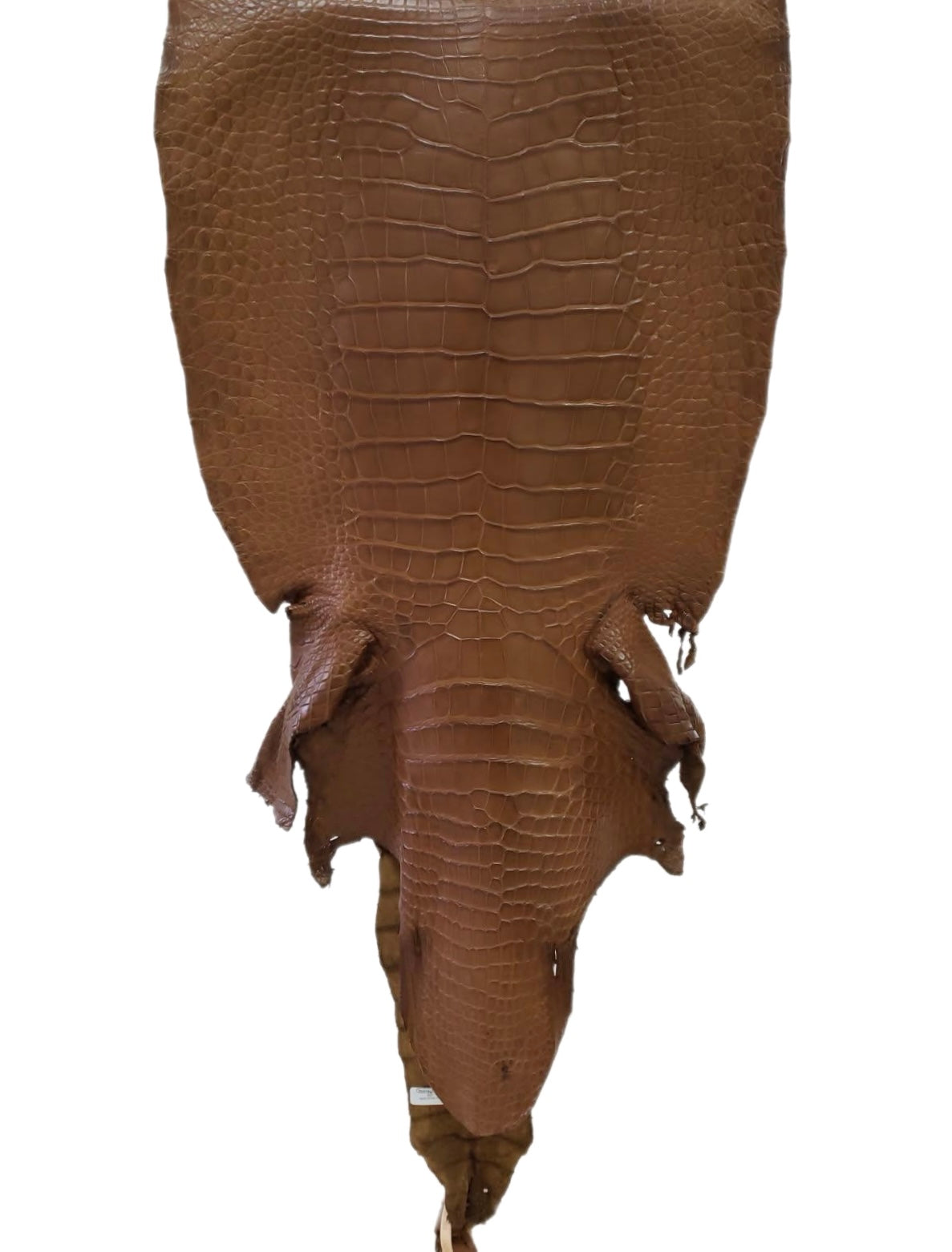 43 cm Grade 3/4 Kango Tabac Matte Wild American Alligator Leather - Tag: LA23-0013903