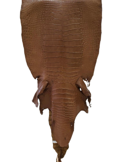 43 cm Grade 3/4 Kango Tabac Matte Wild American Alligator Leather - Tag: LA23-0013903