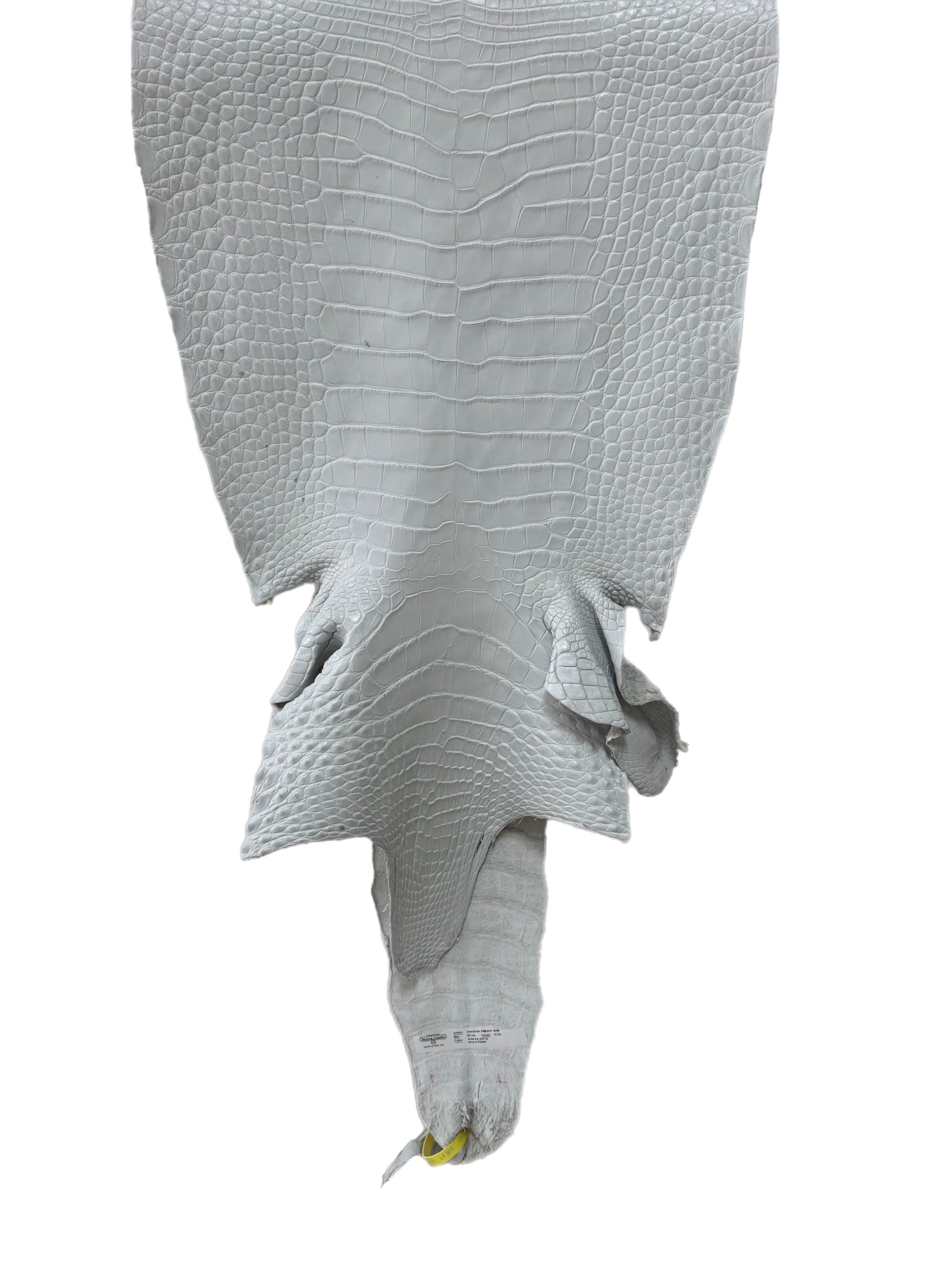 39 cm Grade 2/3 White Matte Farm-Raised American Alligator Leather - Tag: LA25-0316681