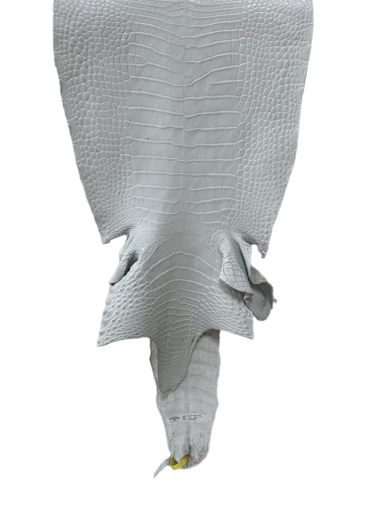 39 cm Grade 2/3 White Matte Farm-Raised American Alligator Leather - Tag: LA25-0316681