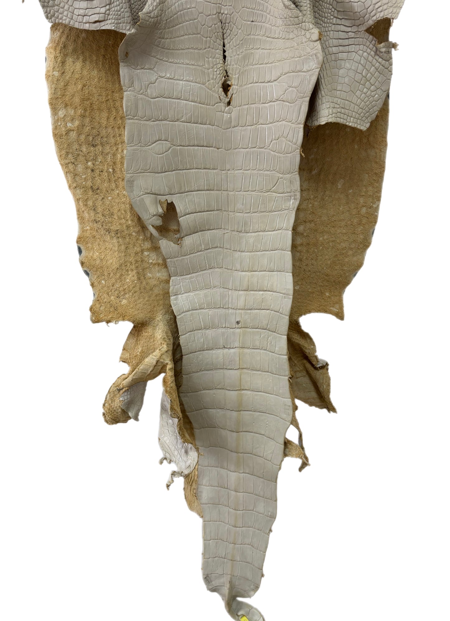 52 cm Grade 2/3 Dune Matte Wild American Alligator Leather - Tag: LA25-0027153