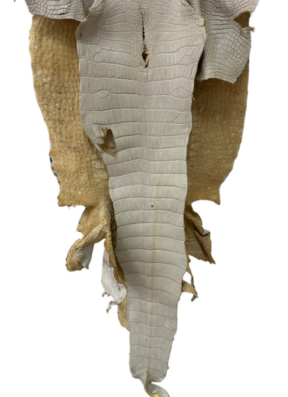 52 cm Grade 2/3 Dune Matte Wild American Alligator Leather - Tag: LA25-0027153
