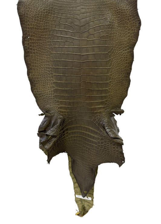 51 cm Grade 3/4 Loden Green Matte Wild American Alligator Leather - Tag: LA22-0021168