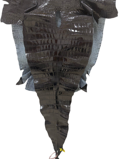 58 cm Grade 2/3 Black Glazed Farm-Raised American Alligator Leather - Tag: FL14-0004080
