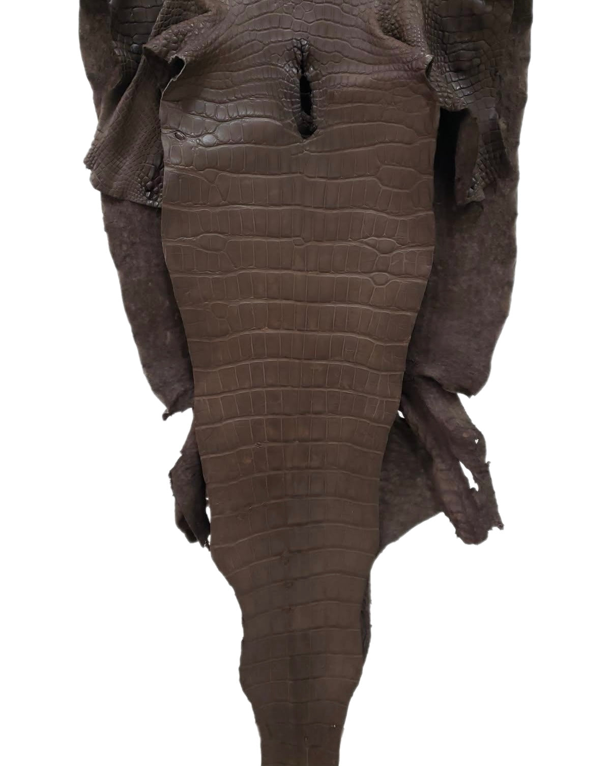 50 cm Grade 4/5 Miller Matte Wild American Alligator Leather - Tag: LA24-0031490
