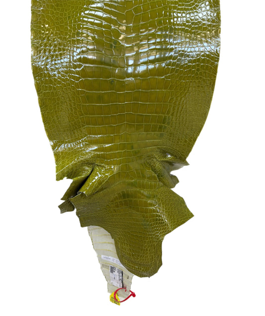 CLOSEOUT | 38 cm Grade 3/4 Muguet Glazed Wild American Alligator Leather - Tag: CCIT-0539923