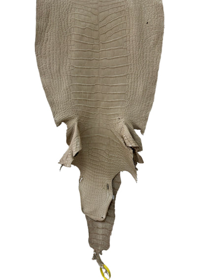 36 cm Grade 3/4 Oatmeal Matte Wild American Alligator Leather - Tag: LA25-0009418