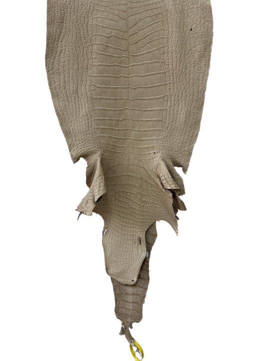 36 cm Grade 3/4 Oatmeal Matte Wild American Alligator Leather - Tag: LA25-0009418