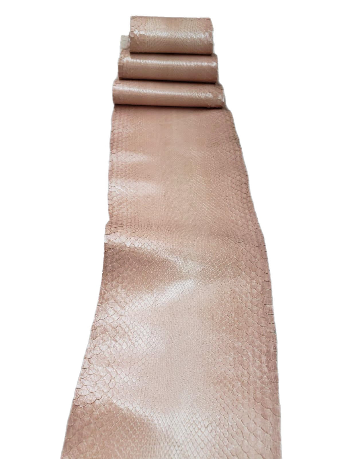 1.8 M Front Cut Powder Glazed Python Leather