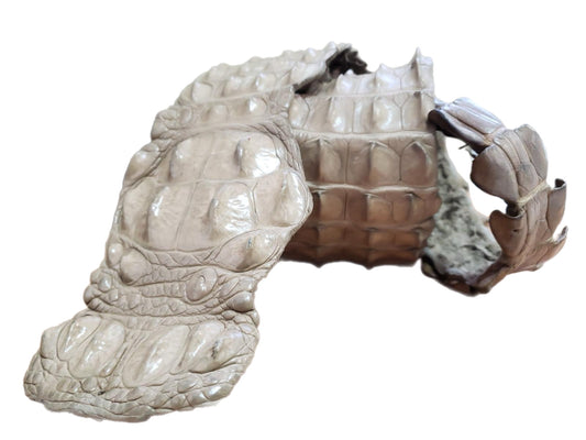 90-99 Cm Grade 1 Oryx Matte Nile Crocodile Backstrap Leather