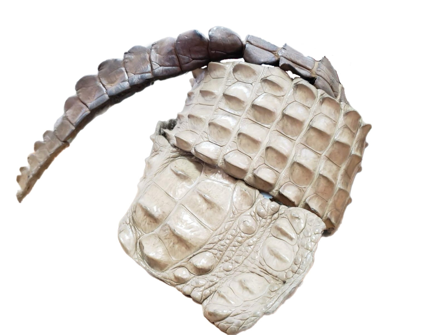 90-99 Cm Grade 1 Oryx Matte Nile Crocodile Backstrap Leather