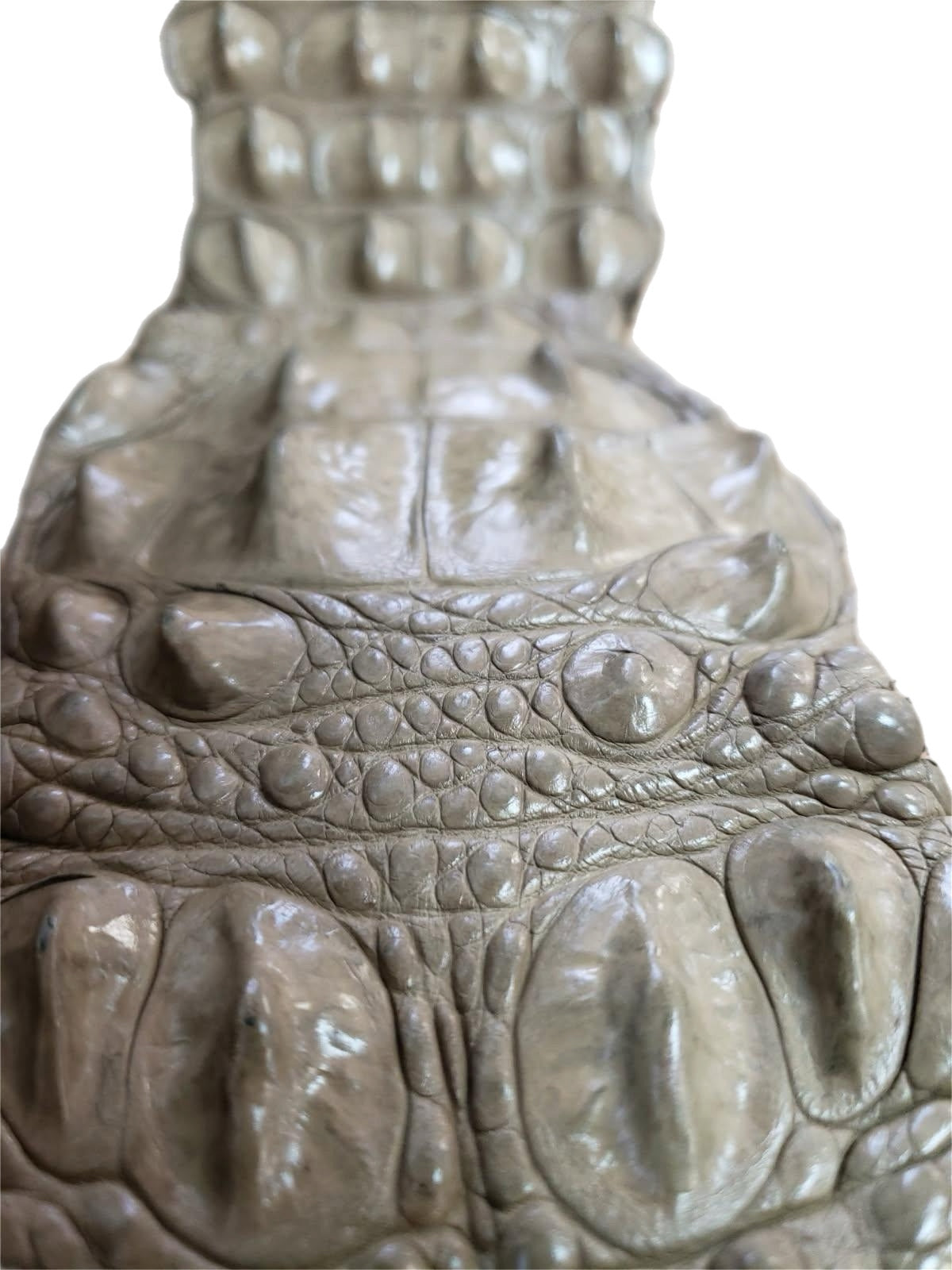 90-99 Cm Grade 1 Oryx Matte Nile Crocodile Backstrap Leather